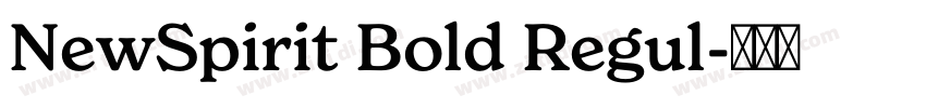 NewSpirit Bold Regul字体转换